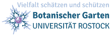 Universität Rostock-Logo