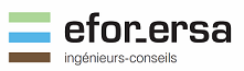 EFOR-ERSA ingénieurs-conseils-Logo