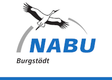 NABU Burgstädt e.V.-Logo