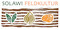 Solawi Feldkultur e.V.-Logo
